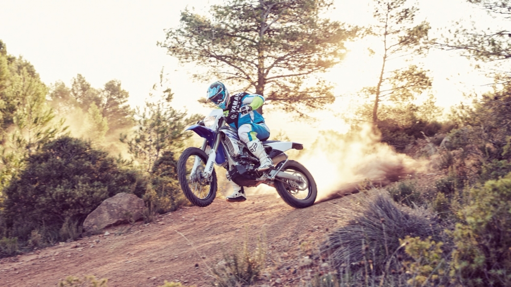 WR 450 F