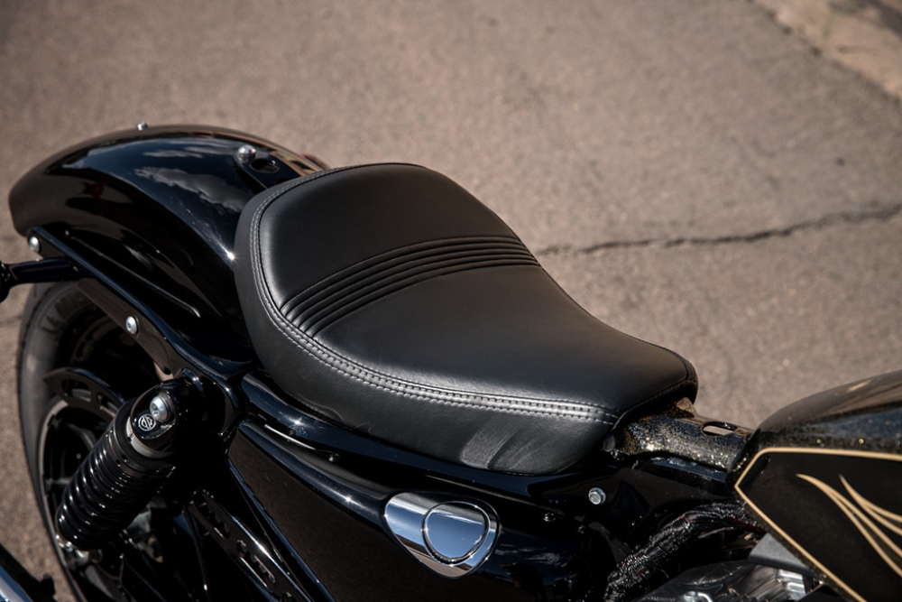 Sporster Forty-Eight