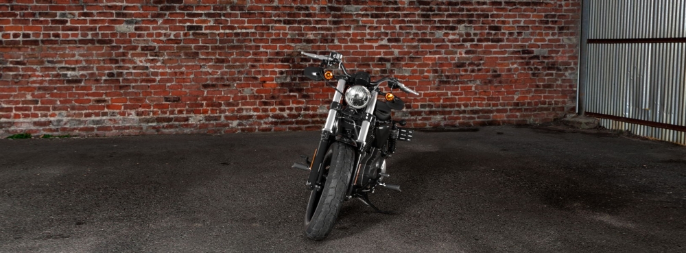 Sporster Forty-Eight