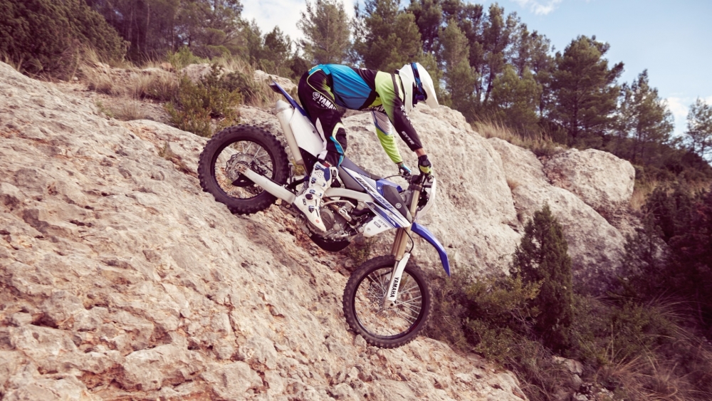 WR 450 F