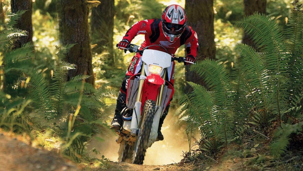 CRF 450X