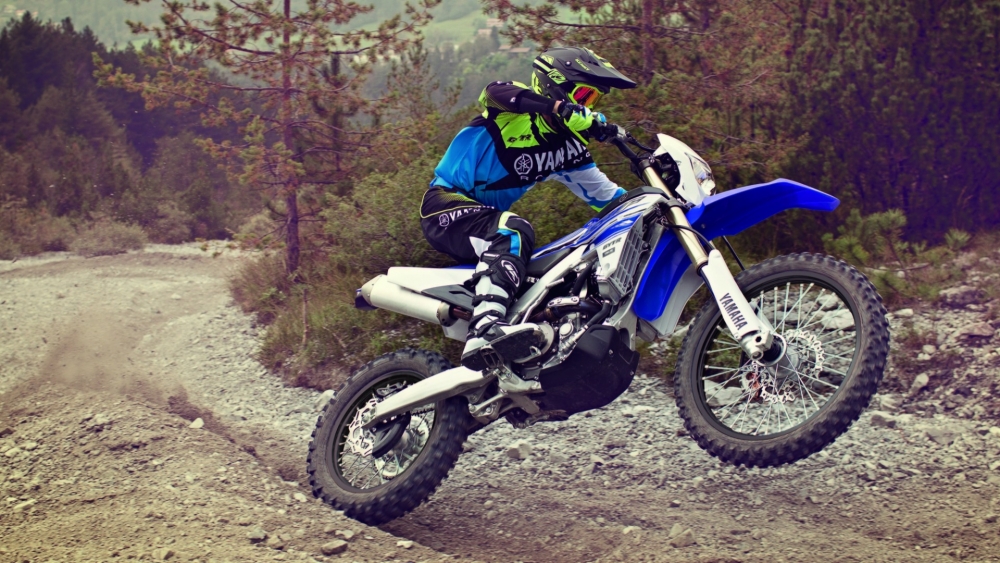 WR 250 F