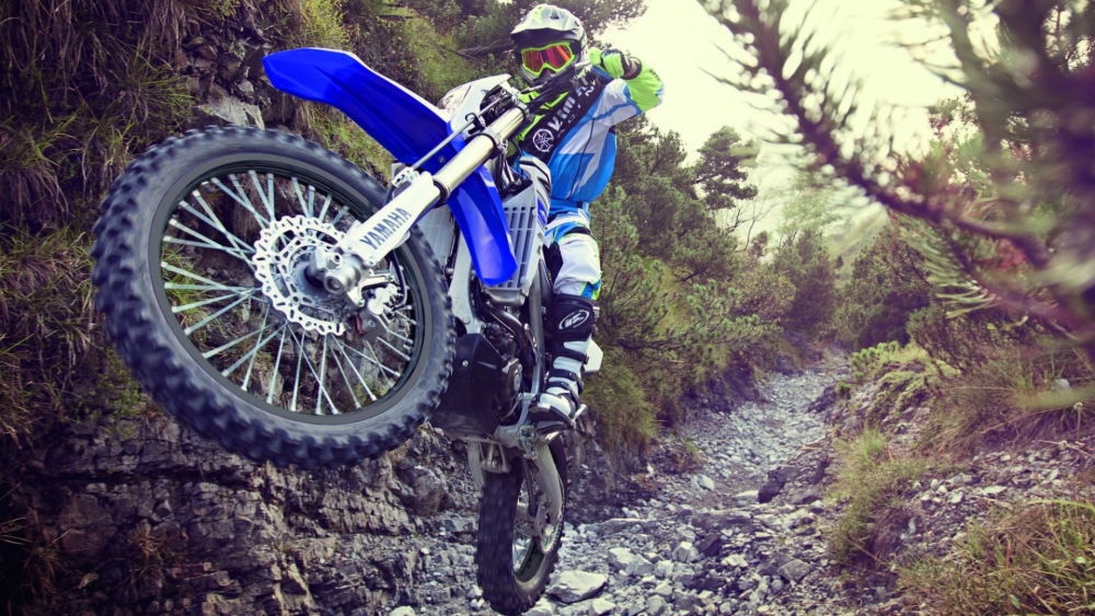 WR 250 F