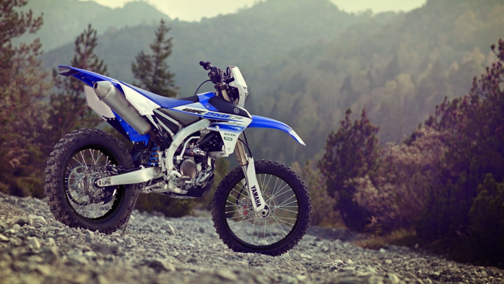 WR 250 F