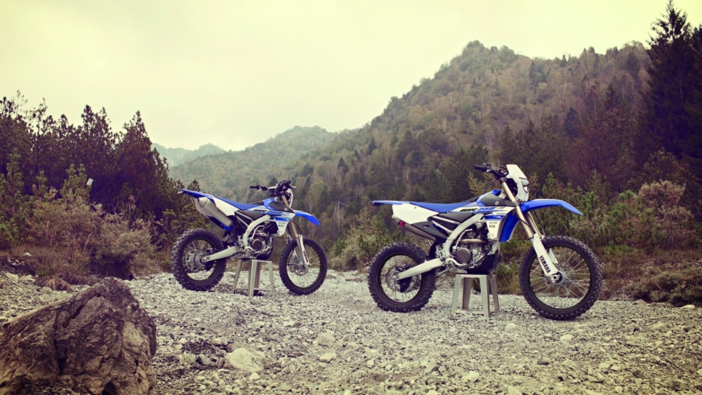WR 250 F