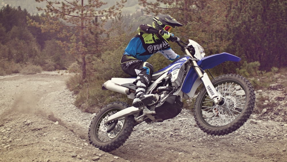 WR 250 F