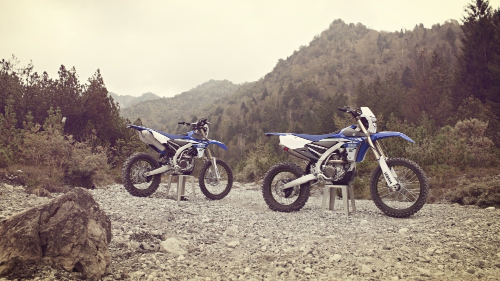 WR 250 F