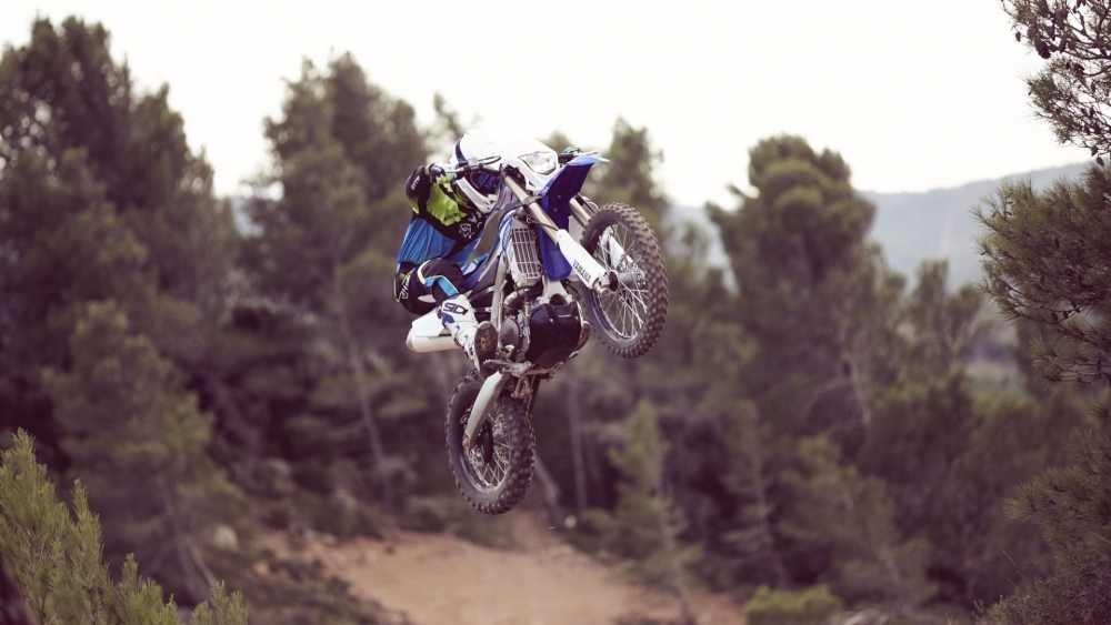 WR 450 F