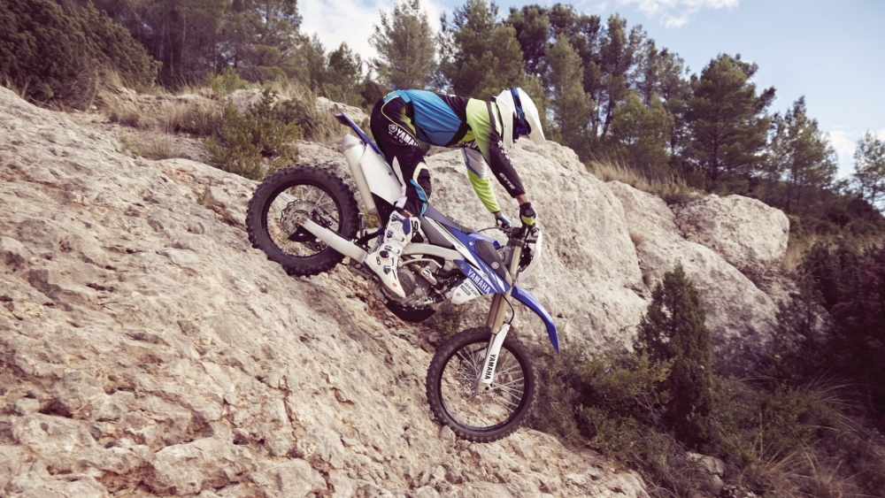 WR 450 F