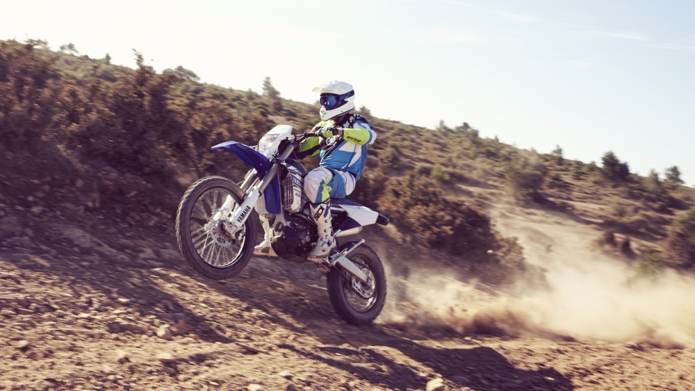 WR 450 F