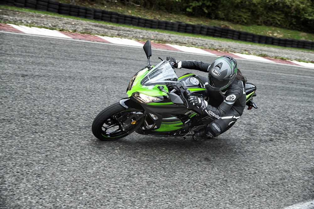 Ninja 300 ABS KRT Edition