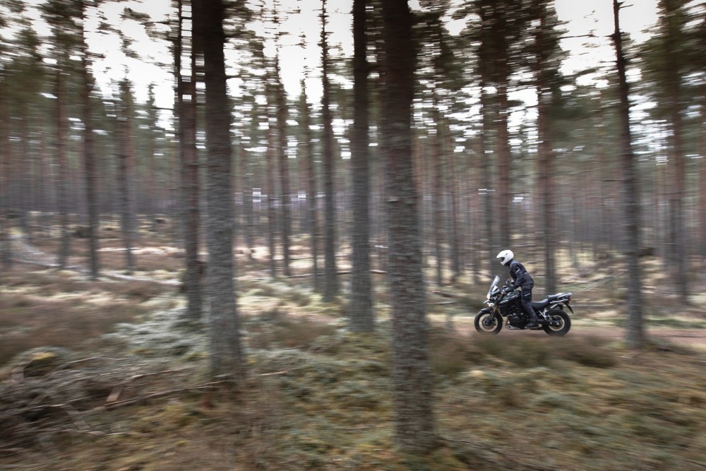 Tiger 1200 Explorer XC