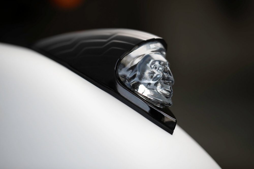 Springfield Dark Horse