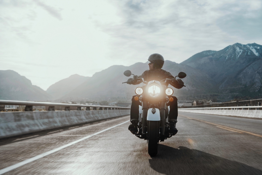 Springfield Dark Horse