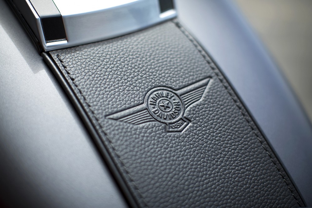 Softail Fat Boy Special