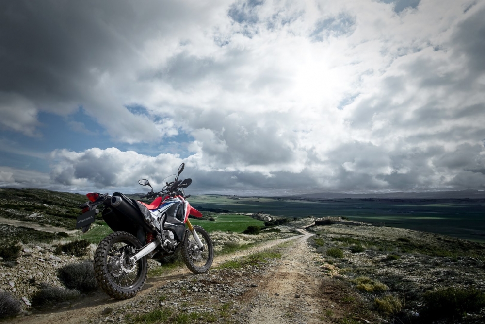 CRF250 Rally