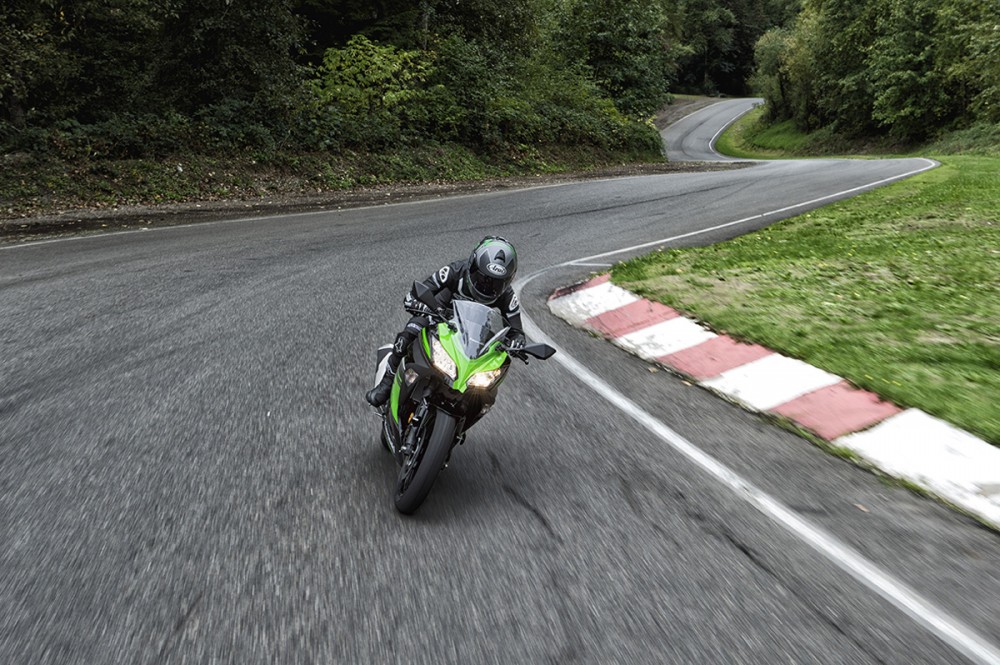 Ninja 300 ABS KRT Edition