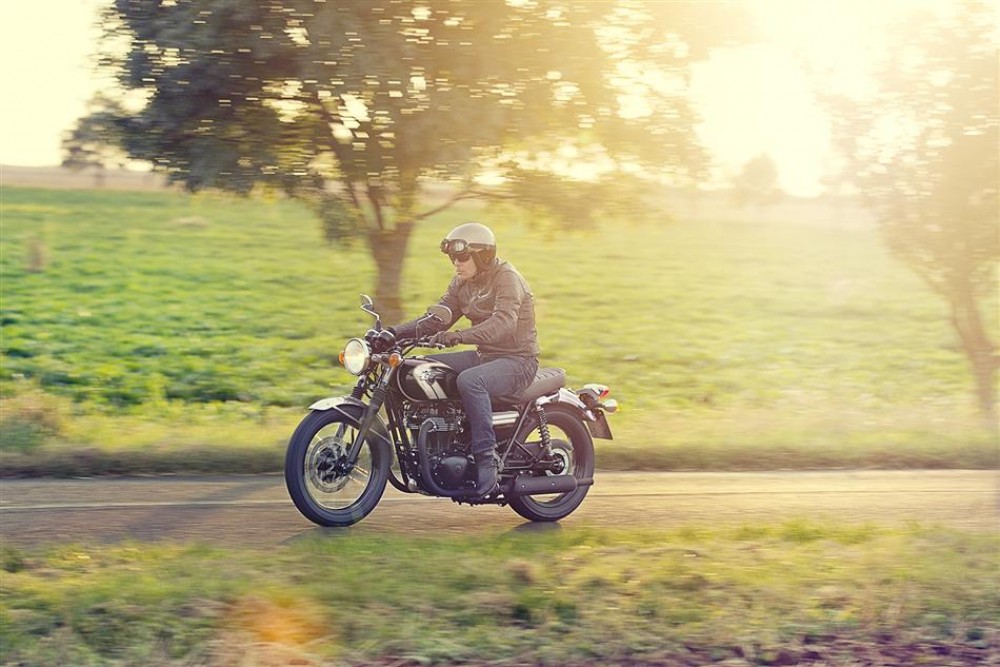 W 800 Special Edition