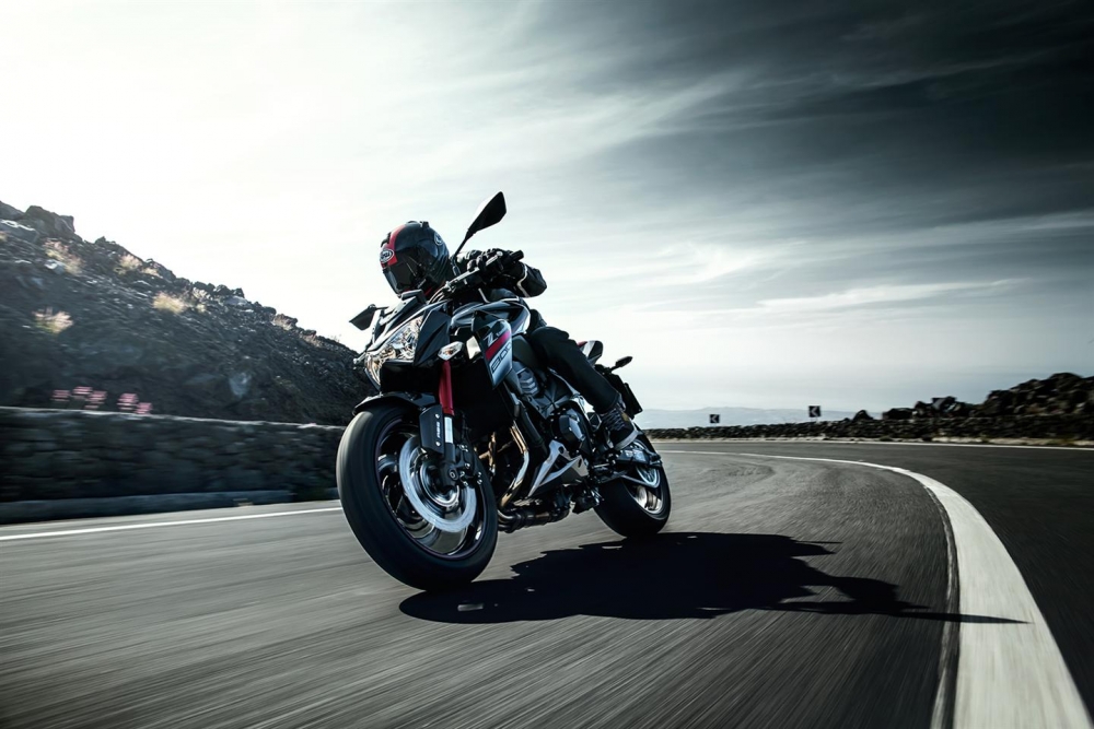 Z 800 Sugomi Edition