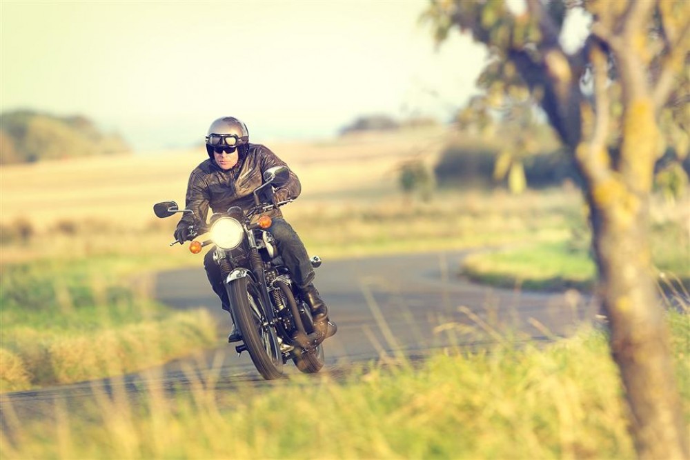 W 800 Special Edition