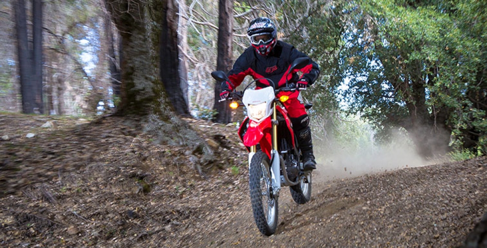 CRF 250L