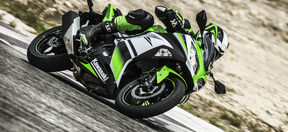 Ninja 300 Special Edition