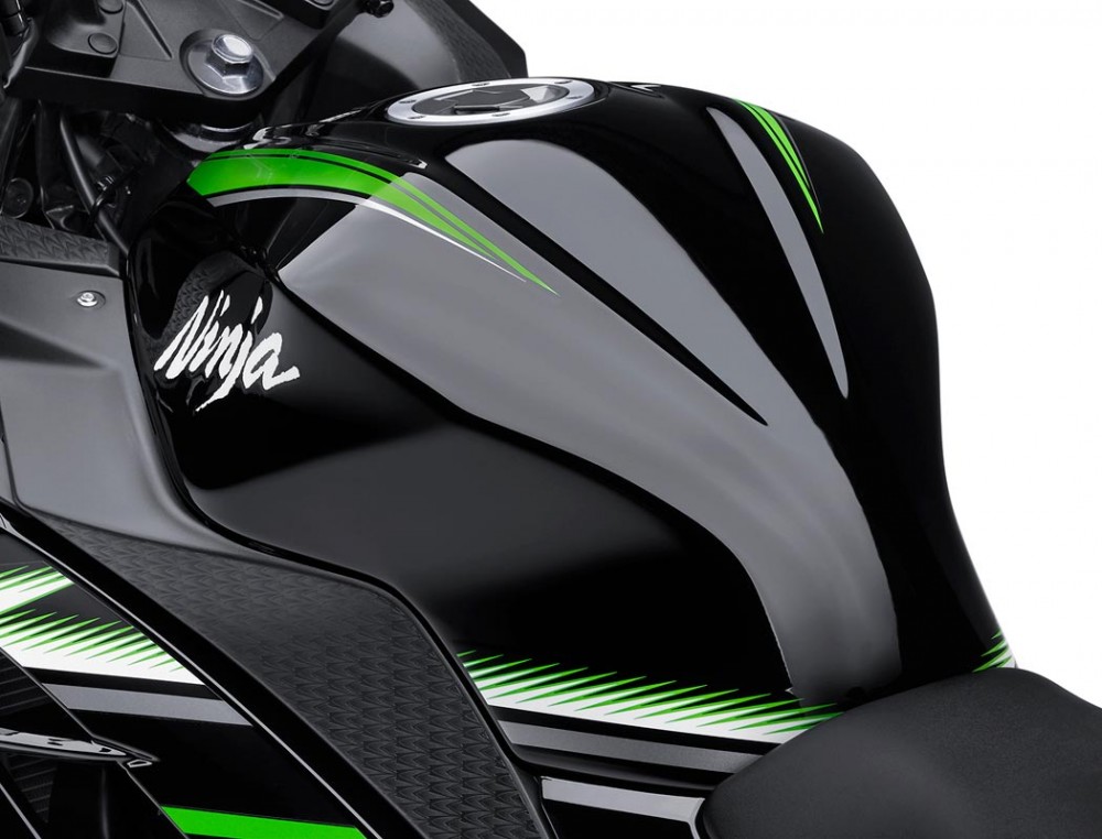 Ninja 300 ABS KRT Edition
