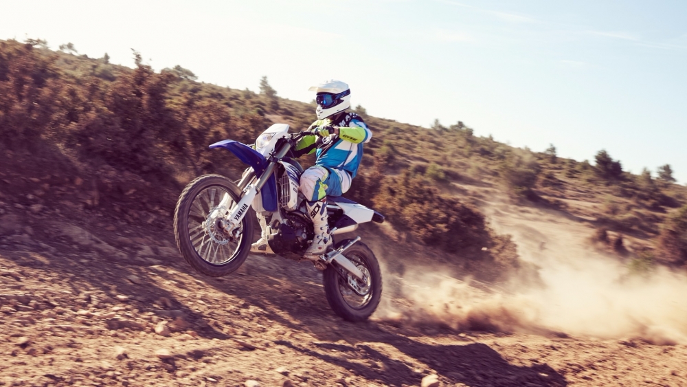 WR 450 F