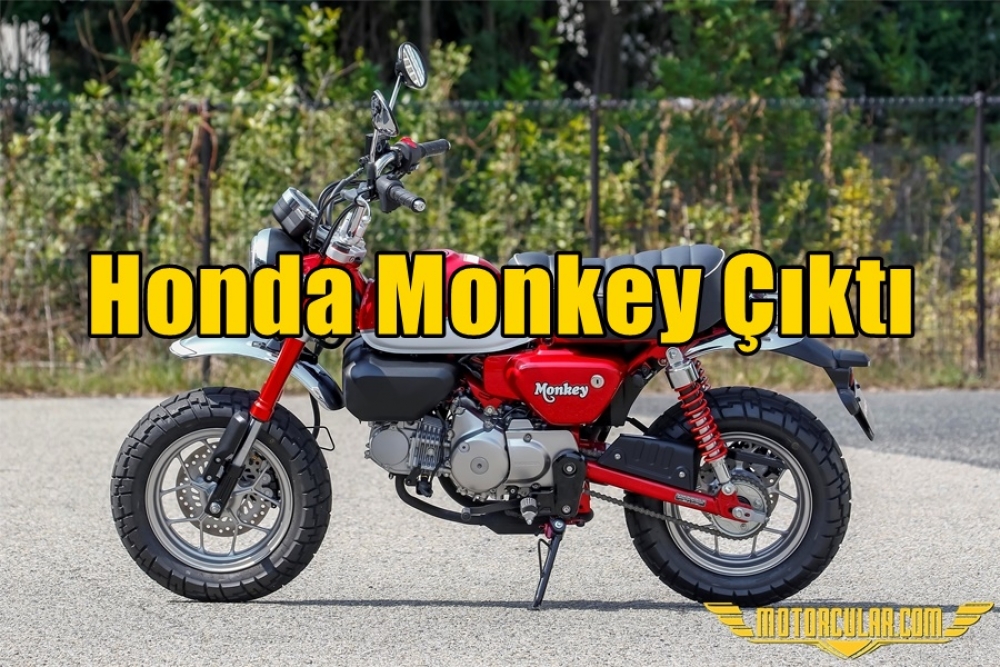 Honda Monkey Çıktı