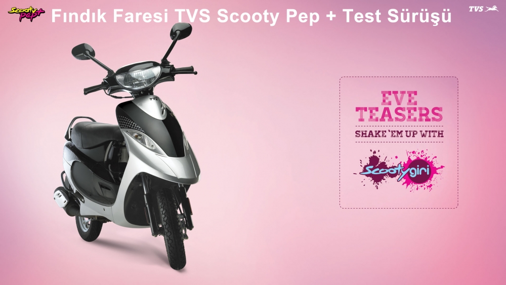 Fındık Faresi TVS Scooty Pep +