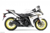 YZF R3