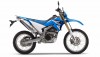 WR 250 R