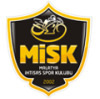 MALATYA İHTİSAS SPOR KULÜBÜ - MİSK Logo
