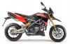 Dorsoduro 1200