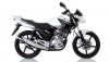 YBR 125