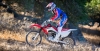 CRF 150F