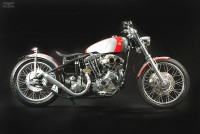 Shovel Custom | Motorcular Galeri