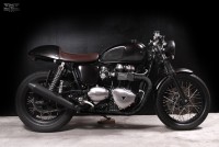 Triumph Thruxton, Cafe  | Motorcular Galeri