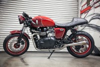 Hawkized Triumph II | Motorcular Galeri