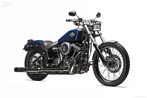 Bespoke Softail Blackline