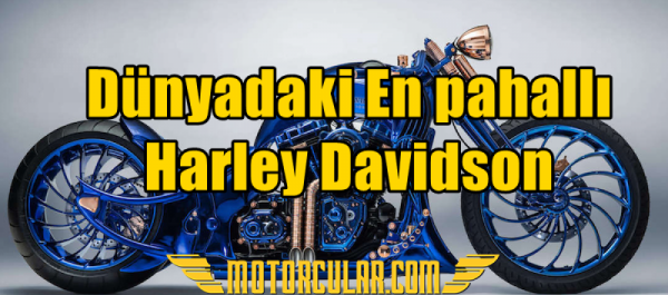 Dünyadaki En Pahallı Harley Davidson