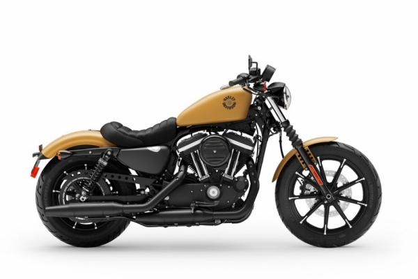 2019 Harley-Davidson Iron 883