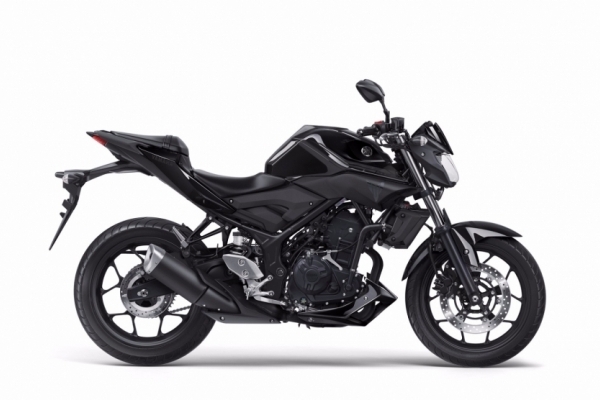 2017 Yamaha MT-25