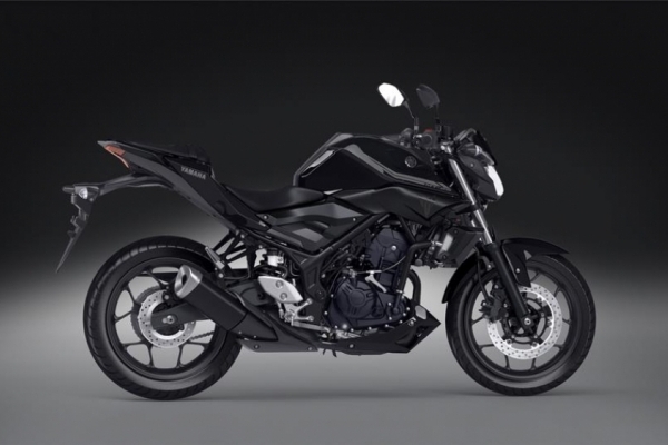 2017 Yamaha MT-25