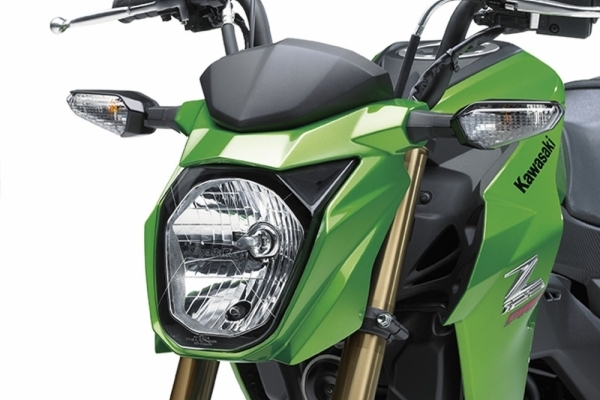 2018 Kawasaki Z 125 PRO