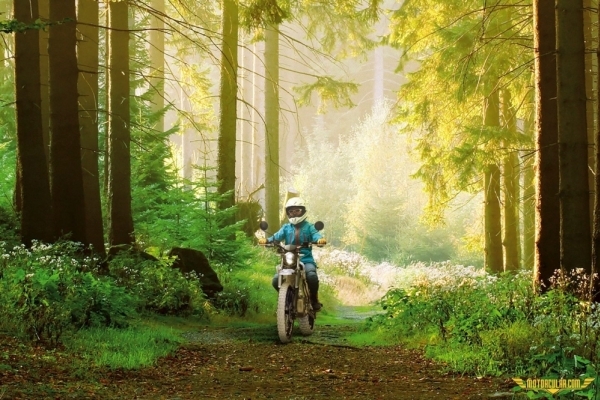Yamaha PED2