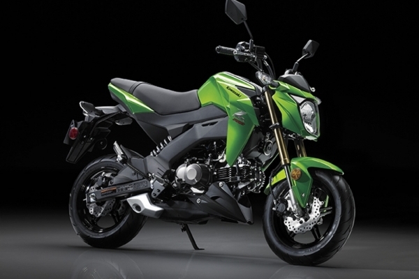 2018 Kawasaki Z 125 PRO