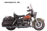 HD FLH - 1981