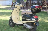 Falcon - Dolphin 100 