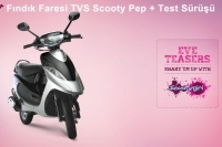 Fındık Faresi TVS Scooty Pep +